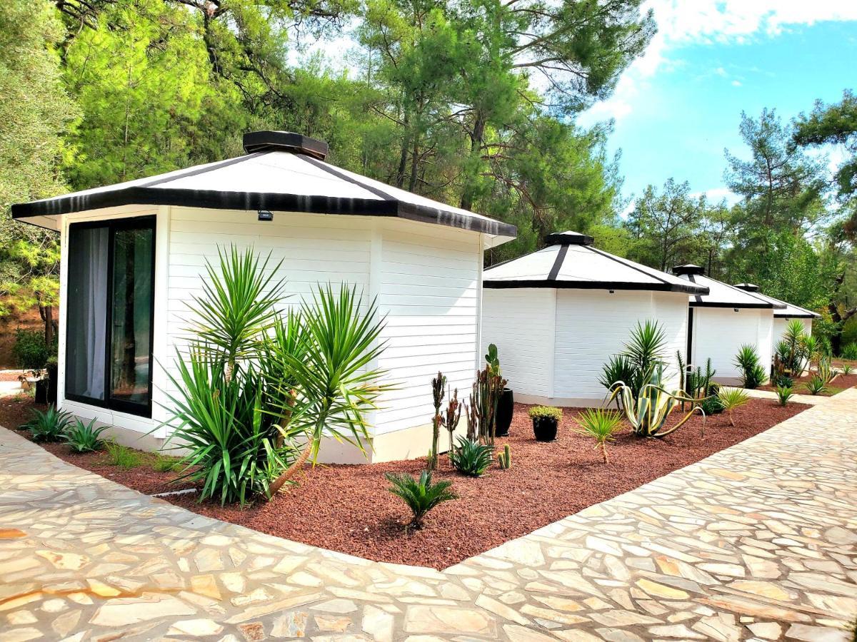 Nomad Lodge Olympos Adults Only Zewnętrze zdjęcie